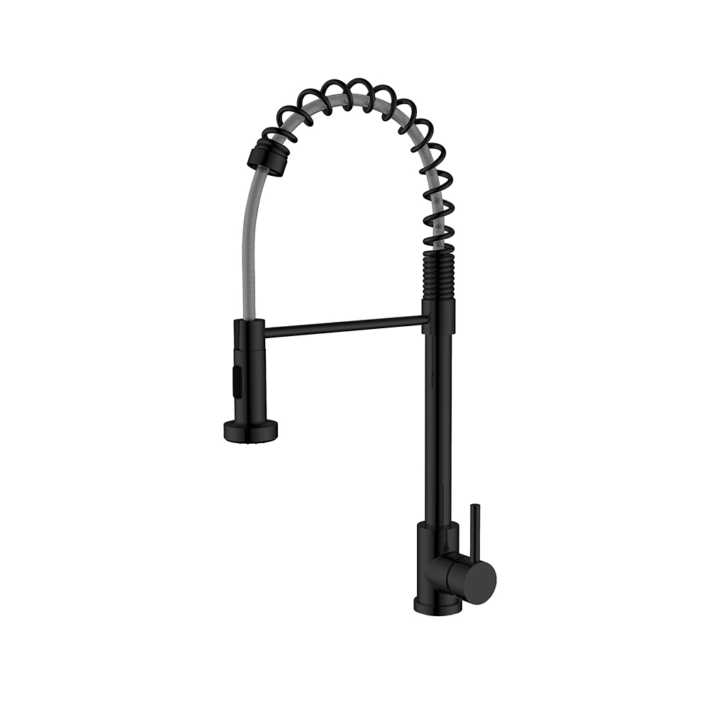 Kitchen faucet