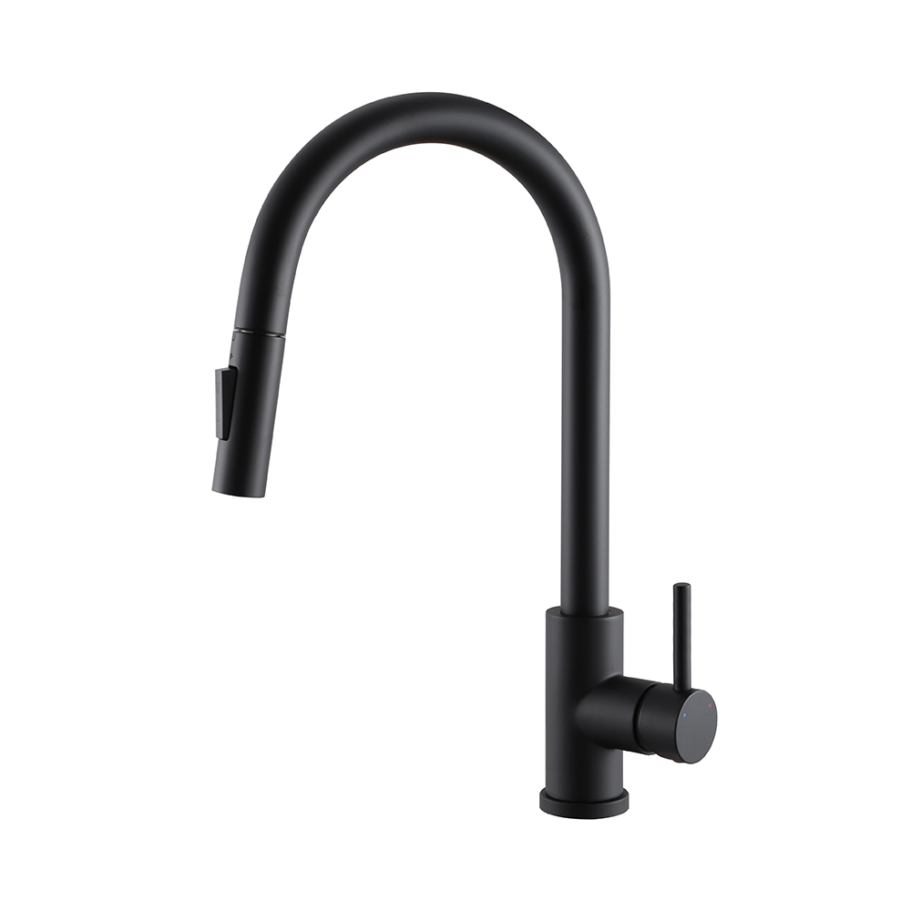 Kitchen faucet